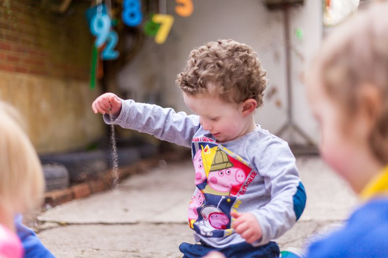 Nursery for schools near Newcastle Emlyn